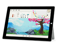 潼关Surface 无法开启、Windows 无法启动或电池无法充电